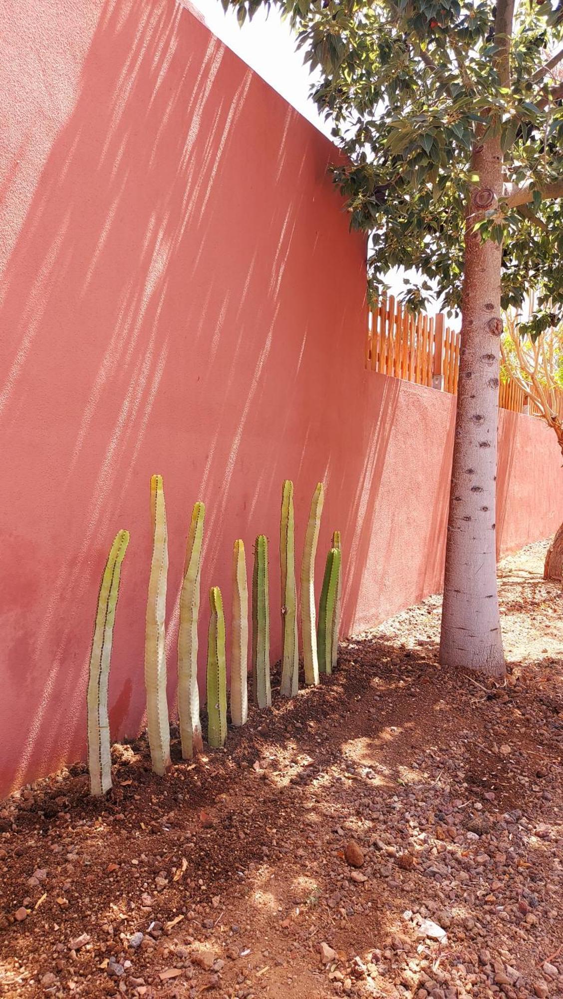 Vila Adosado La Tabaiba San Miguel de Abona Exteriér fotografie