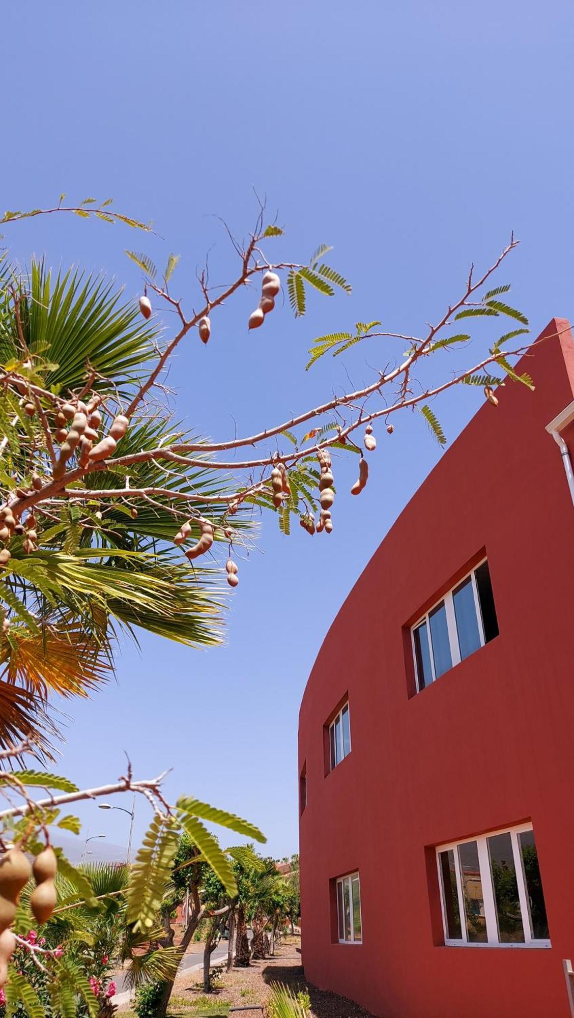 Vila Adosado La Tabaiba San Miguel de Abona Exteriér fotografie